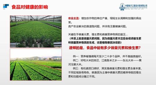 跨越隱形饑餓，點亮健康未來 硒鍶硅鋅營養健康食品項目與生態旅游開發協同發展計劃